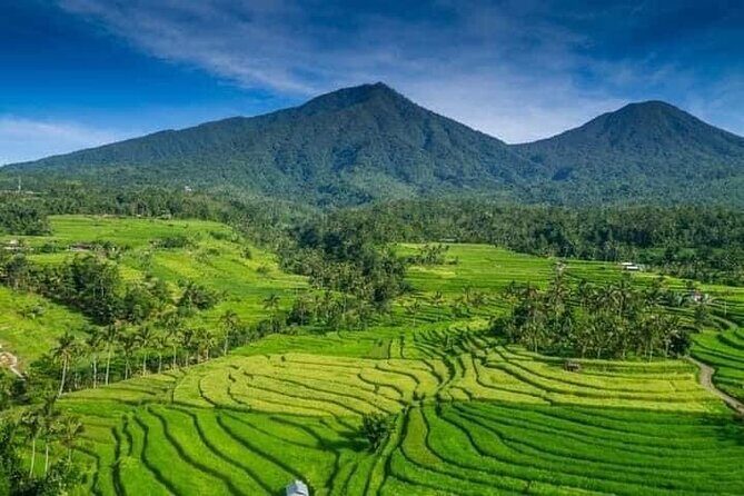 Explore Munduk Customized 8 Hour Day Tour in North Bali - Examining the Itinerary in Detail