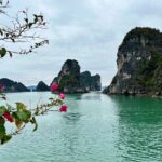 Explore Ninh Binh and Bai Tu Long Bay 2 Days 1 Night Tour - Transportation and Logistics
