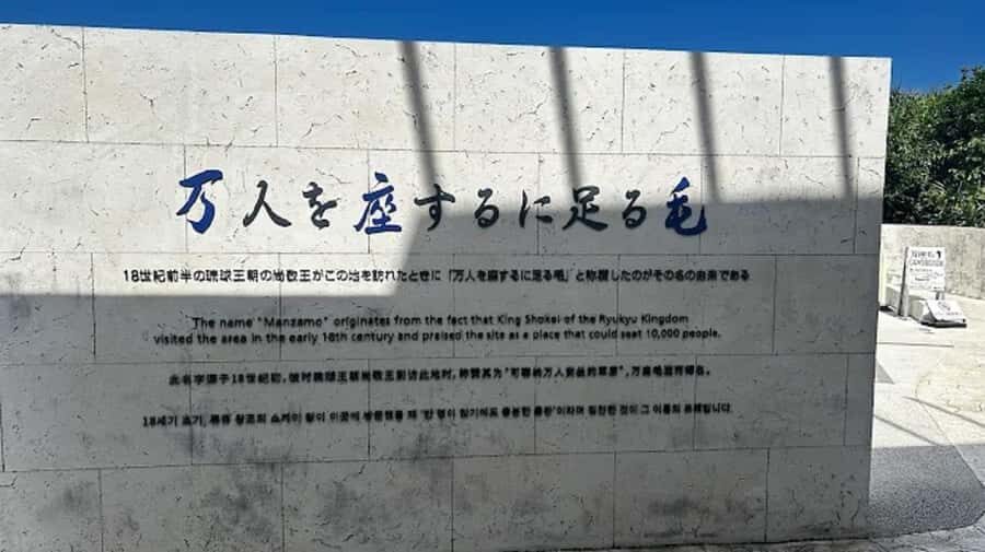 Explore Okinawa: Private Full-Day Tour with Driver - Who Should Consider This Tour?