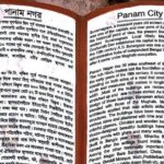 Explore old capital Sonargaon museum and Panam city day trip - Who Is This Tour Best For?