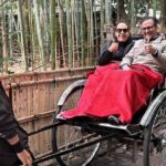 Explore Osaka and Kyoto with Private Transportation - How the Experience Feels in Practice