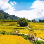 Explore Sapa on a 2 Days and 1 Night Trek - Transportation and Accommodation