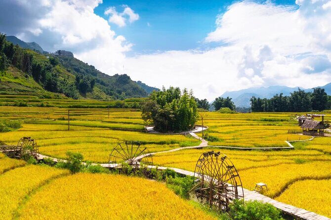 Explore Sapa on a 2 Days and 1 Night Trek - Transportation and Accommodation
