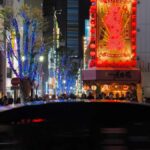 Explore Shinjuku's breathtaking views and entertainment districts - Practical Details and What to Expect