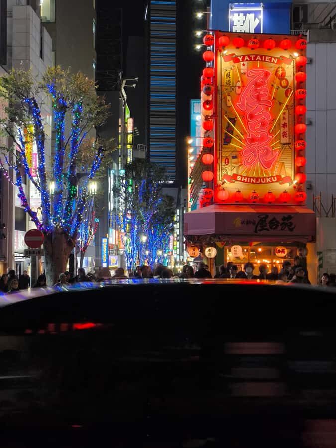 Explore Shinjuku's breathtaking views and entertainment districts - Practical Details and What to Expect
