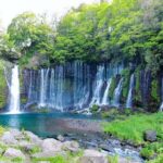 Explore Shizuoka with Private Car Tour - Who Would Love This Tour?