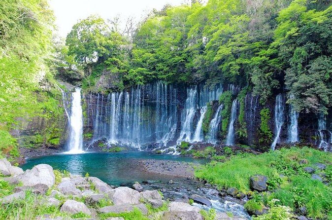 Explore Shizuoka with Private Car Tour - Who Would Love This Tour?