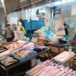 Explore Southern Osaka: Kaizukas Nature & Heritage - Practical Details & Tips