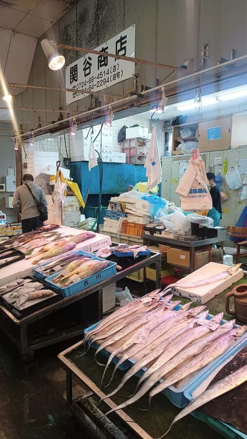 Explore Southern Osaka: Kaizukas Nature & Heritage - Practical Details & Tips