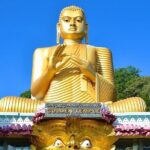 Explore Sri Lanka 8 Days - An In-Depth Look at the 8-Day Sri Lanka Tour
