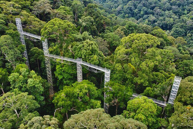 Explore Temburong with Canopy Tower - Trek to the Canopy Tower
