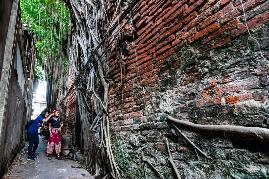 Explore The Back Alleys And Hidden Gems In Chinatown Bangkok - What Makes This Tour Stand Out?