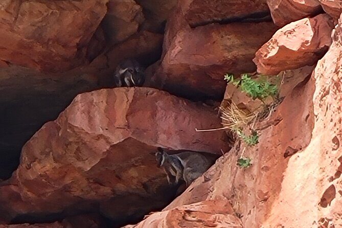 Explore the Hidden Gorges: Kalbarri 4WD, Hike, Canoe Experience - Who Should Consider This Tour?