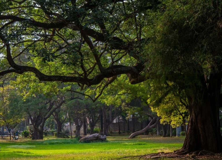 Explore the Old Bangalore City: Guided Tour with Tuktuk - Practical Details and Value