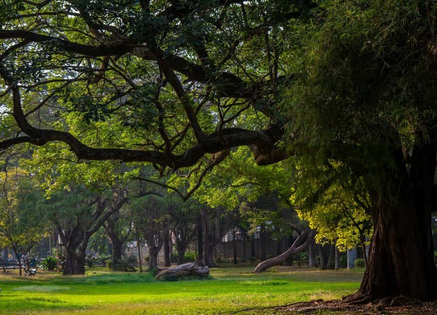 Explore the Old Bangalore City: Guided Tour with Tuktuk - Practical Details and Value