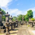 Explore the Old Town of Tokyo: Guided Walking Tour on Foot - A detailed look at the experience