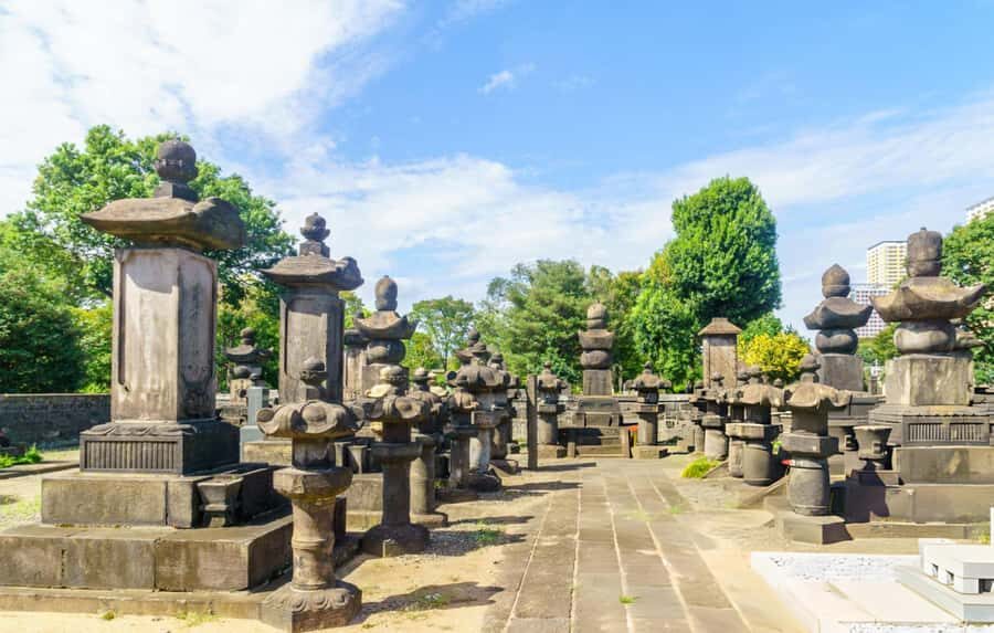 Explore the Old Town of Tokyo: Guided Walking Tour on Foot - A detailed look at the experience