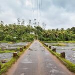 Explore The Rustic Life Of Thekkady - Who This Tour Suits Best