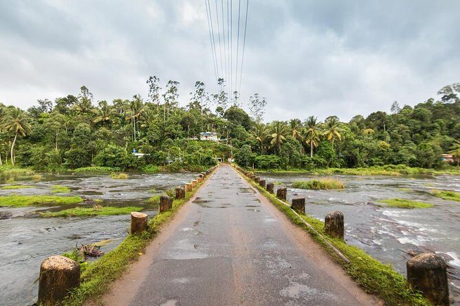Explore The Rustic Life Of Thekkady - Who This Tour Suits Best