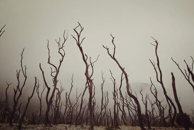 Explore the Wonders of Garut from Bandung - 2D1N - Final Thoughts