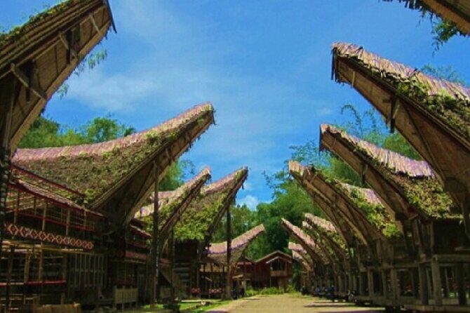 Explore Toraja Culture Heritage in 3 Days from Makassar - Why the Price Reflects Value