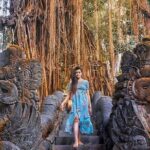 Explore Ubud: Private Day Trips & Cultural Experiences - Transportation & Practical Details