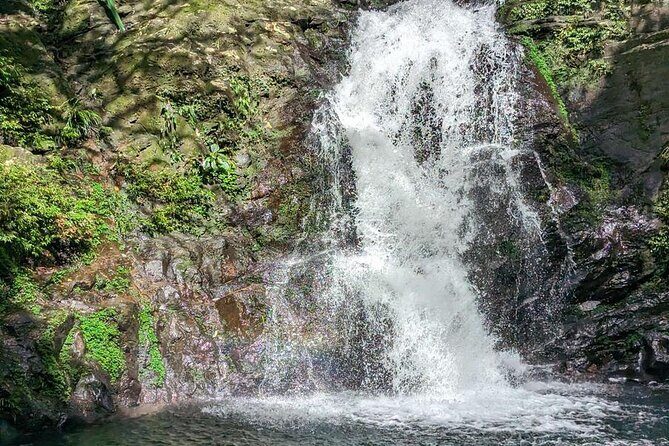 Exploring Bach Ma Trekking Hue National Park - Reaching the Peak and the Peace Bell