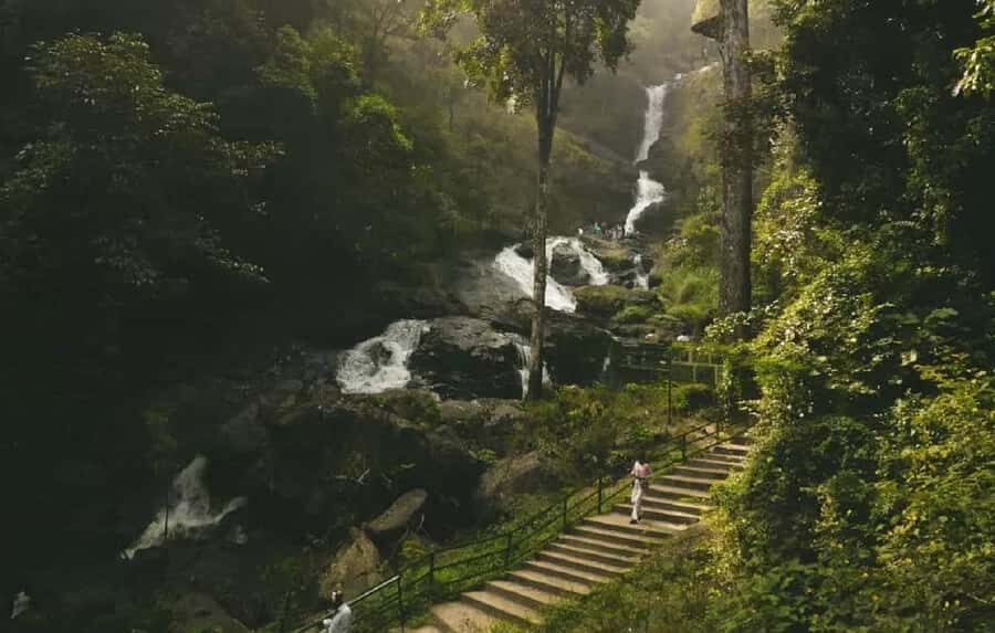 Exploring Coorg: Guided Full Day Tour in Car from Mysore - Practical Details and What to Expect