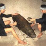 Exploring Cu Chi Tunnels Half Day Tour - What’s Included in the Tour?