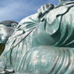 Exploring Hakata: Temples Shrines and Scenic Treasures - Final Thoughts: Who Is This Tour Best For?