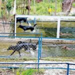 Exploring Phu Quoc Full Day North and South Island private Tour - Who Should Consider This Tour?