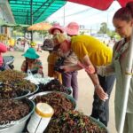 Exploring Siem Reap: A 3-Day, 2-Night Tour from Phnom Penh - Who is this tour best for?