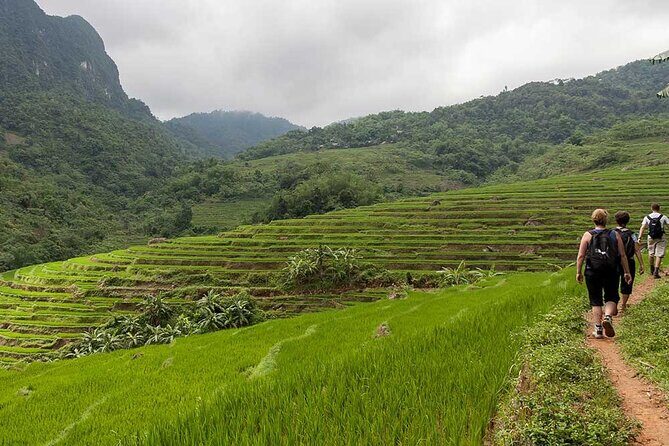 Exquisite 3-Day, 2-Night Journey Through Ninh Binh and Pu Luong - Value and Cost Analysis