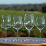 Exquisite Unique Wine Tasting Experience - What to Expect from the Experience