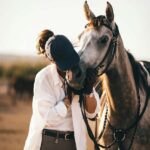 Fairlie,New Zealand: Full Day Private Backcountry Horse Trek - Practical Details and What to Expect