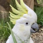 Family trip to staglands wildlife sanctuary - Exploring the Staglands Wildlife Sanctuary