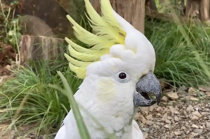 Family trip to staglands wildlife sanctuary - Exploring the Staglands Wildlife Sanctuary