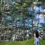 Farm Day Tour with Dining Experience - The Sum Up: Who Will Love This Tour?