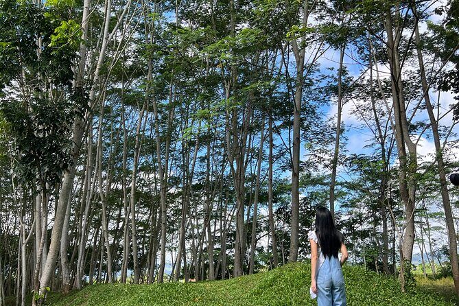 Farm Day Tour with Dining Experience - The Sum Up: Who Will Love This Tour?