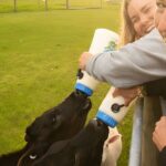 Farm Tour and Milford Sound Nature Cruise from Te Anau - Detailed Breakdown of the Itinerary