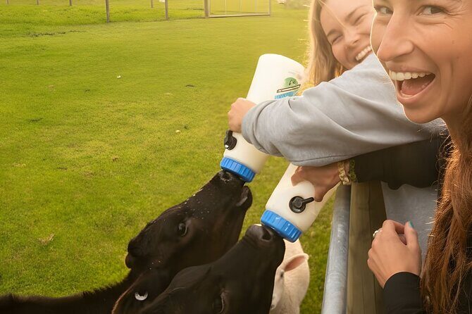 Farm Tour and Milford Sound Nature Cruise from Te Anau - Detailed Breakdown of the Itinerary