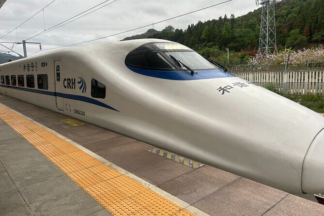 Fast Train Ticket from Guangzhou to Hong Kong with Station Transfer in Guanghou - Cost and Value Analysis