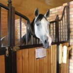 Fergana: Valley Horses Complex Tour with Horse Riding - What the Tour Entails