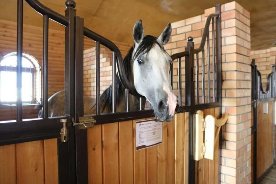 Fergana: Valley Horses Complex Tour with Horse Riding - What the Tour Entails