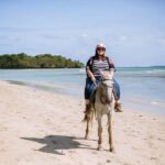 Fiji: Beach Horseback Riding Tour with Lunch and Transfer - Discovering the Tour: A Step-by-Step Breakdown