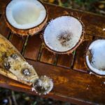 Fiji: Farm Tour: Animals, Honey Tasting & Fijian Cooking - A Closer Look at the Fiji Farm Tour