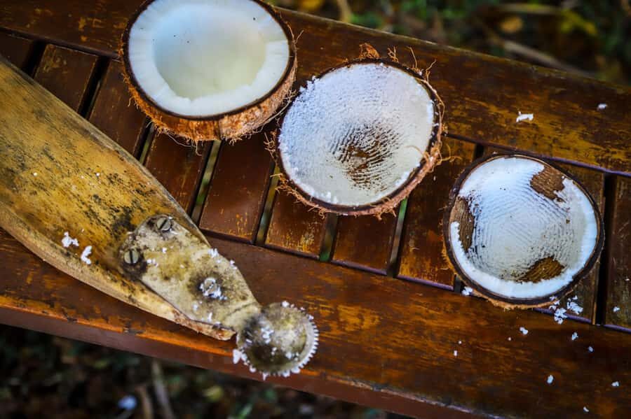 Fiji: Farm Tour: Animals, Honey Tasting & Fijian Cooking - A Closer Look at the Fiji Farm Tour