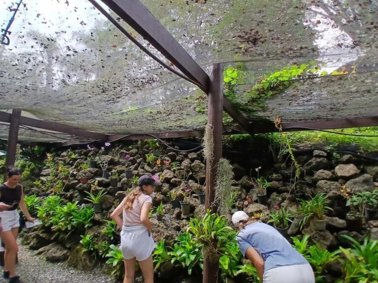 FIJI: Garden of the Sleeping Giant Tour - Practical Details and Tips