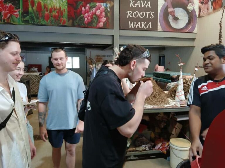 Fiji: Nadi Tour with Tifajek Mudpool and Hotspring Visit - Transport & Group Dynamics