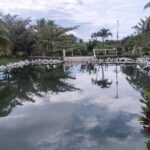 FIJI: Official Tifajek Mud Pool and Hot Spring Tour - Who Will Love This Tour?